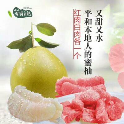 湖北宜昌秭歸縣柚子 沙田柚批發(fā)市場(chǎng)探析，0.60元/斤的價(jià)格優(yōu)勢(shì)與品質(zhì)保障