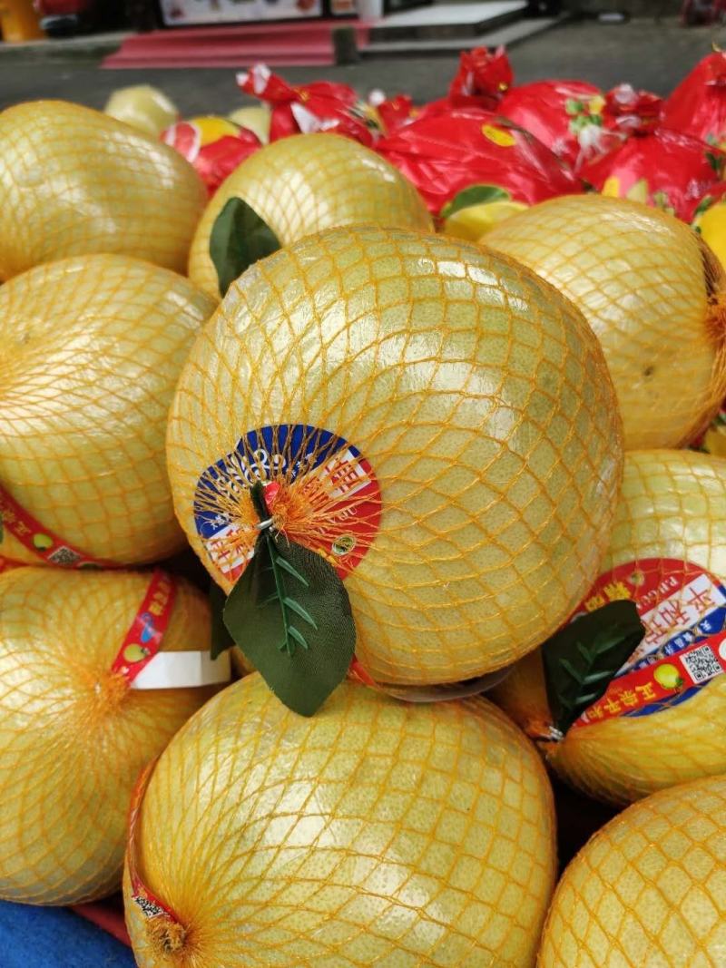 湖北宜昌西陵區(qū)白心蜜柚 產(chǎn)地直供，品質(zhì)優(yōu)價(jià)格美