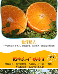 眉山愛(ài)媛38號(hào)果凍橙 自然鮮甜，孕媽首選的多規(guī)格柑橘批發(fā)佳品