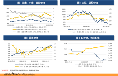 2021年8月新股申購一覽與計算機設備租賃行業前瞻
